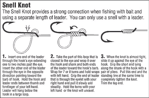 Fishing Knowledge Fishing Line Knot Types Of Fish In Different Waterfields  1208